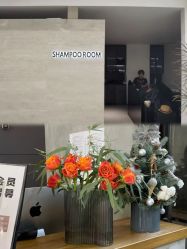 -蚂蚁造型俱乐部