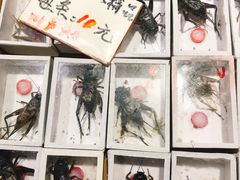 -万商花鸟市场