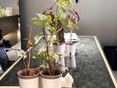 -研途咖啡馆(健康路店)