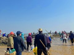 -巧克力渔家.小船海鲜胶东菜(万平口店)