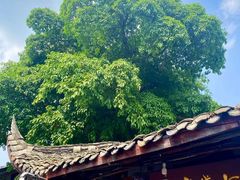 -黄龙溪古镇