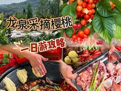 -桃源山庄·水蜜桃采摘·柴火鸡·烧烤团建(龙泉山店)