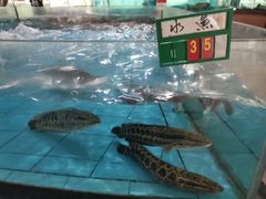 -虎门不夜天海鲜市场