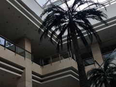 -北京丽亭华苑酒店