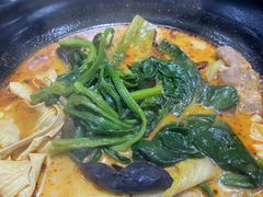 -杨国福麻辣烫