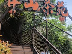 -伴山茶苑·围炉煮茶