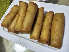 三丝春卷-东康桂家农庄