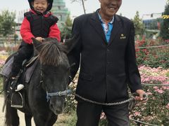 -兴芮温泉度假区