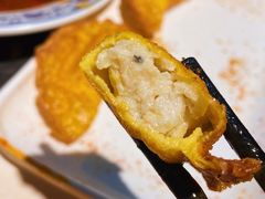 -爆炸头阿姨小四川正宗川味小吃(无任何分店)