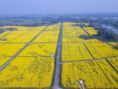 -中国天府农业博览园