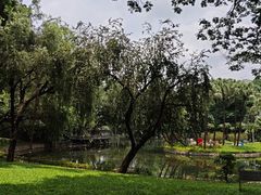 -晓港公园