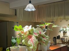 -LouisTime路易时光(蕴川路店)