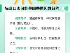 -瑞派申生动物医院·24H夜诊·国际动物医疗中心·骨外科(吴中路店)