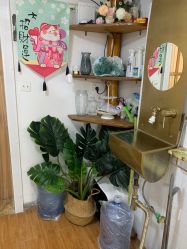 -新雨池不针清祛痘