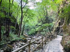 -牛背梁国家森林公园