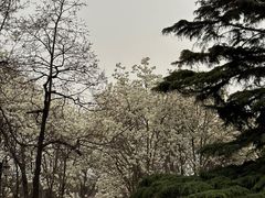 -睦南公园