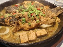 -老板恋上鱼(高新万达店)