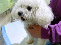 -暖阳宠物医院·犬猫康复中心·骨科