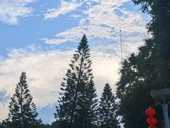 -荔湾湖公园