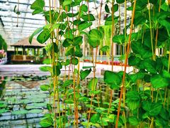 -常州花鸟园酒店(西太湖品牌优选店)