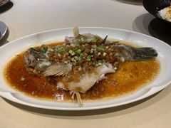 -皇朝会.经典传统粤菜(外滩店)
