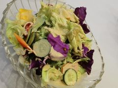 田园大拌菜-九头鸟酒家(四道口店)