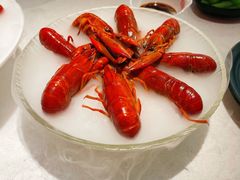 -红盔甲·小龙虾(天钥桥店)