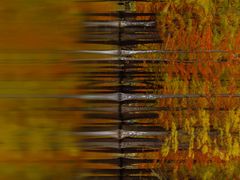 -白鹭湾湿地公园