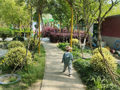 -合肥滨湖国家森林公园