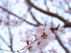 景点-元大都城垣遗址公园