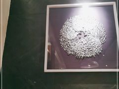-富雅·尚品(浑南店)