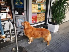 -Juicy Bakery(大学路店)
