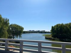 -大兴滨河森林公园