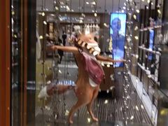 -COACH蔻驰(德基广场店)