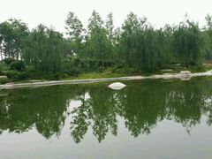 android_upload_pic-鹦鹉寺公园