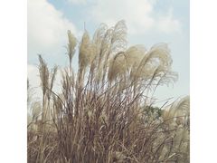 -良渚古城遗址公园