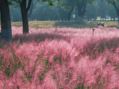 -汉长安城未央宫国家考古遗址公园
