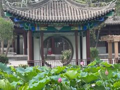 -莲湖公园