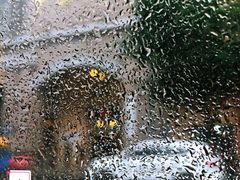 -贝利宠物医院·骨科·眼科·肿瘤转诊中心(南坪诊疗中心)
