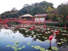 -广州莲花山旅游区