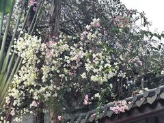 -深圳国际园林花卉博览园