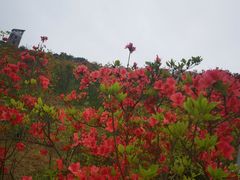 -瑞安圣井山景区