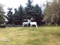 -后襄河公园