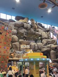 -卡通尼·Safari非洲探索乐园·生日会(金桥国际商业广场店)