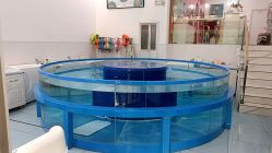 -雏芽婴幼儿游泳·小美医生小儿推拿(西村店)