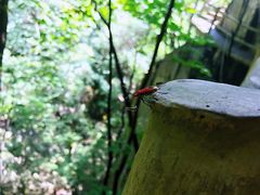 -老君洞旅游度假区