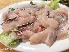 -金砂阿洲鱼册店