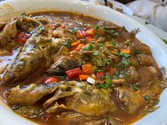 -陈厨(新苑小区店)