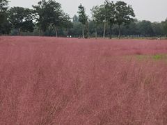 -汉长安城未央宫国家考古遗址公园