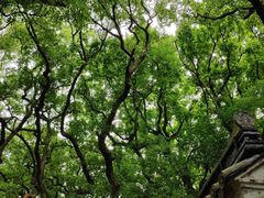 -普陀山风景名胜区-法雨禅寺